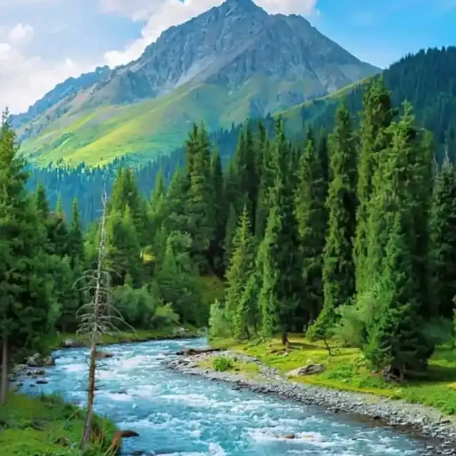 曼联新援谢什科转会窗口后联赛表现困境与破局之道